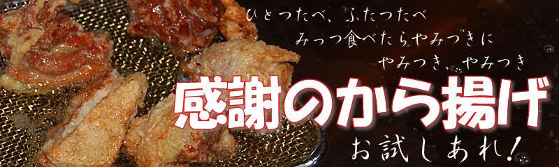 caption03